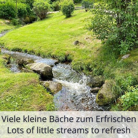 Auszeit Apartment Black Forest: Panoramic Retreat with Indoor Pool and Sauna Schonach im Schwarzwald Exterior photo