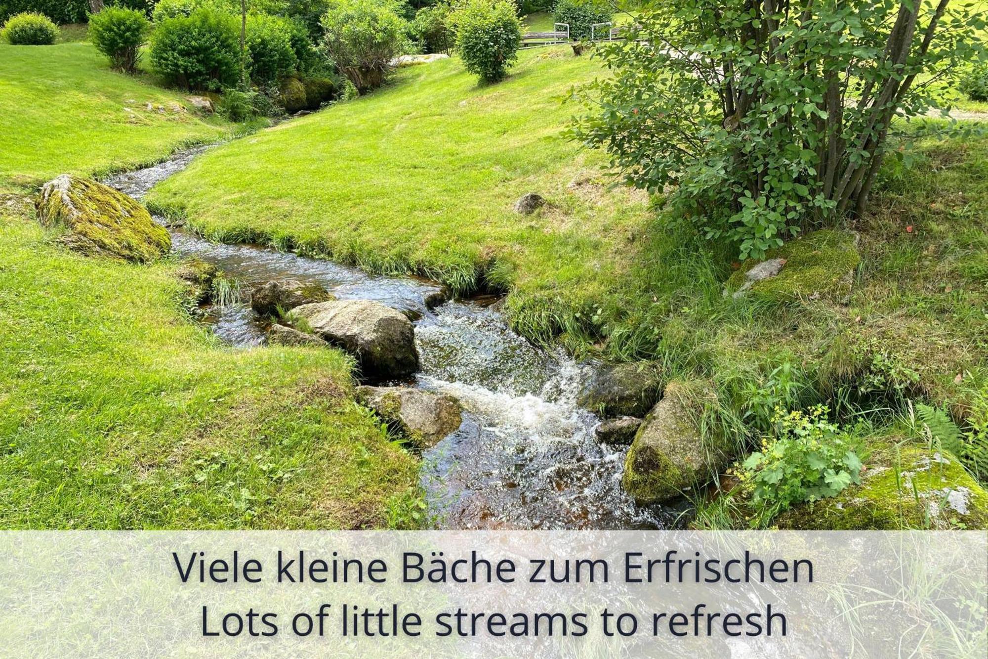 Auszeit Apartment Black Forest: Panoramic Retreat with Indoor Pool and Sauna Schonach im Schwarzwald Exterior photo