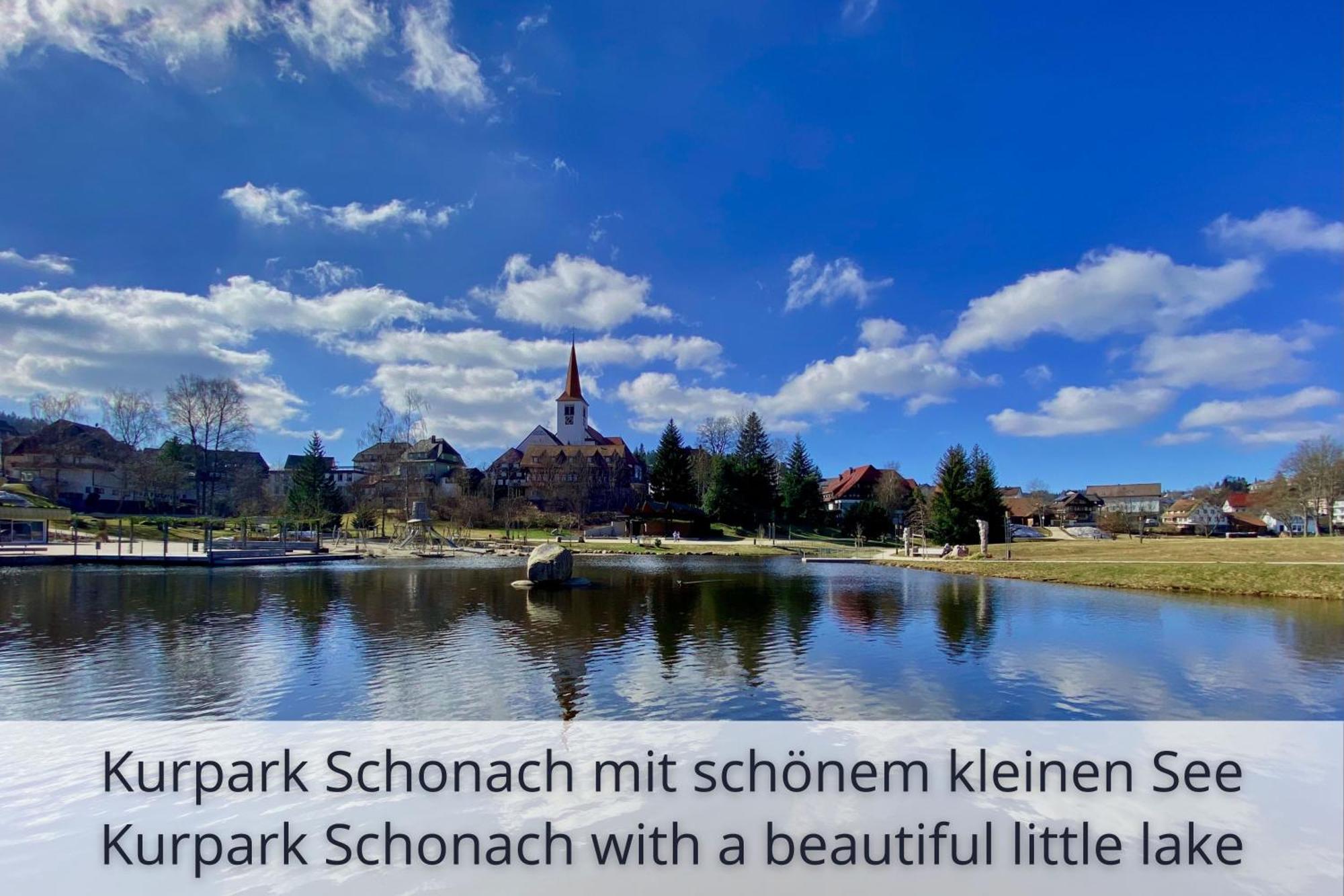 Auszeit Apartment Black Forest: Panoramic Retreat with Indoor Pool and Sauna Schonach im Schwarzwald Exterior photo