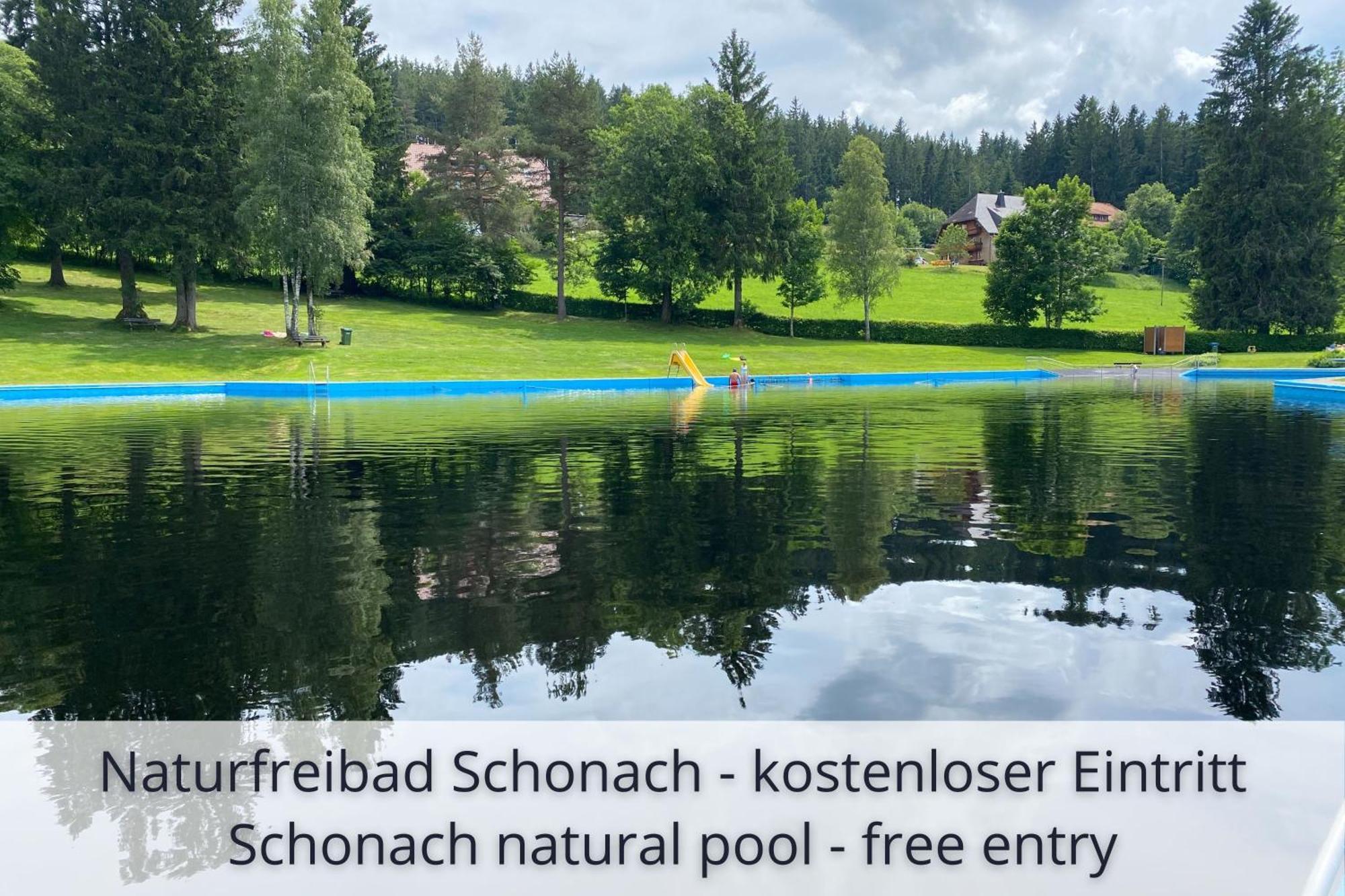 Auszeit Apartment Black Forest: Panoramic Retreat with Indoor Pool and Sauna Schonach im Schwarzwald Exterior photo