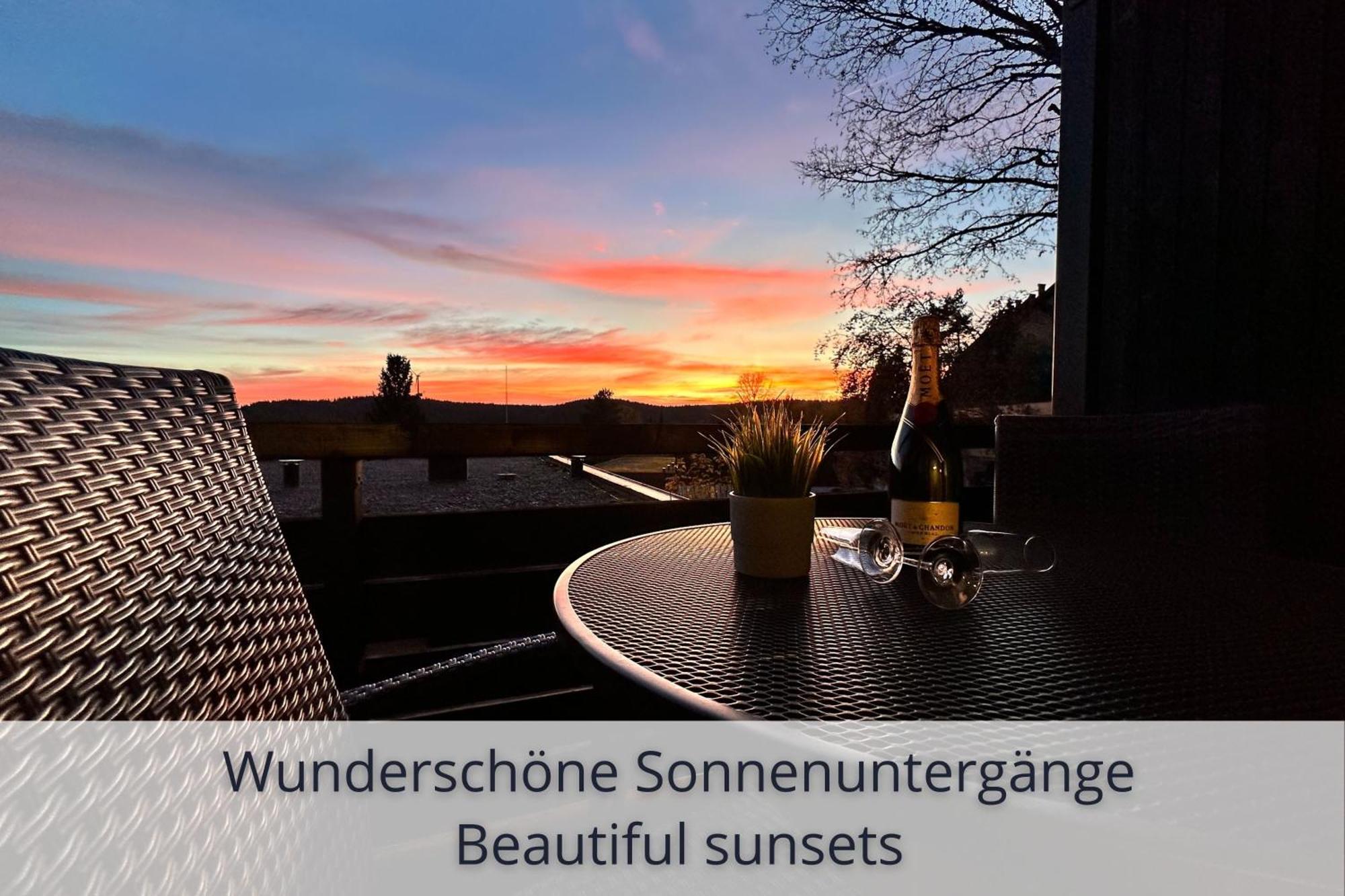 Auszeit Apartment Black Forest: Panoramic Retreat with Indoor Pool and Sauna Schonach im Schwarzwald Exterior photo