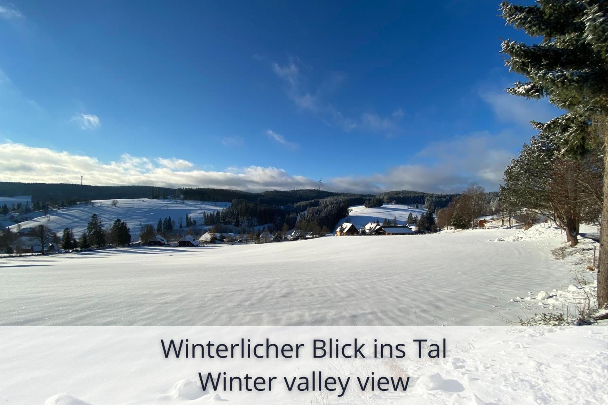 Auszeit Apartment Black Forest: Panoramic Retreat with Indoor Pool and Sauna Schonach im Schwarzwald Exterior photo