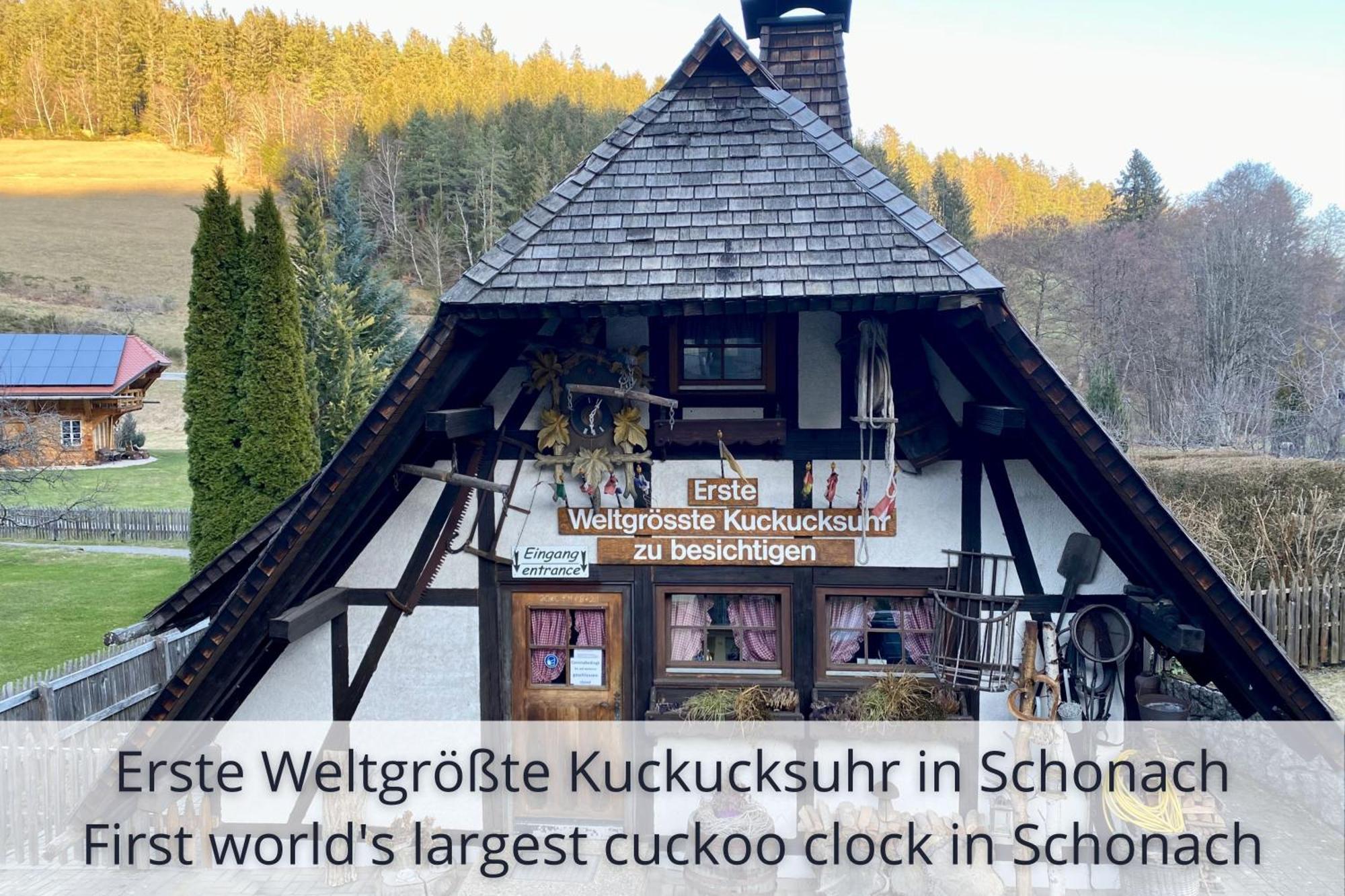Auszeit Apartment Black Forest: Panoramic Retreat with Indoor Pool and Sauna Schonach im Schwarzwald Exterior photo