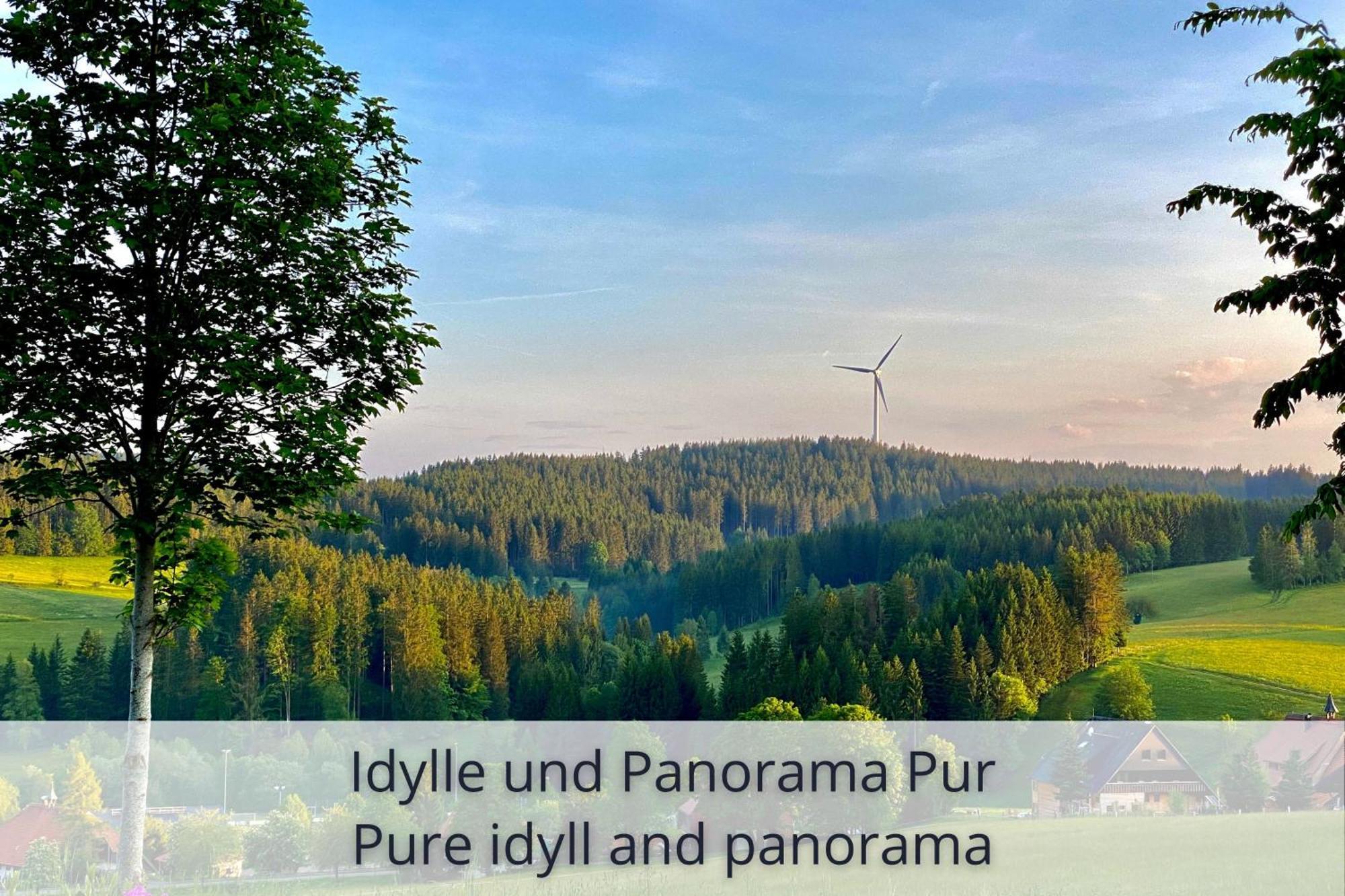 Auszeit Apartment Black Forest: Panoramic Retreat with Indoor Pool and Sauna Schonach im Schwarzwald Exterior photo