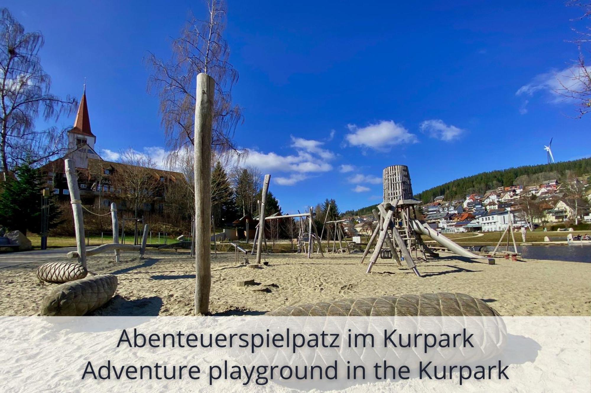 Auszeit Apartment Black Forest: Panoramic Retreat with Indoor Pool and Sauna Schonach im Schwarzwald Exterior photo