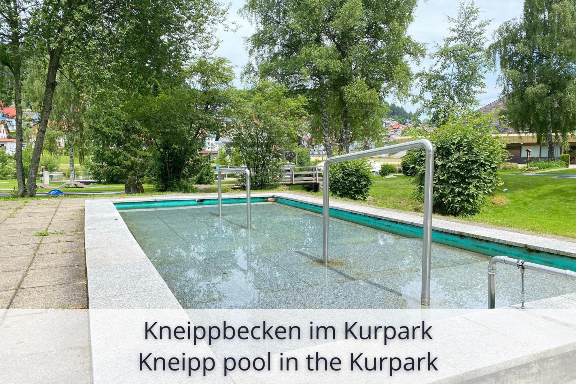 Auszeit Apartment Black Forest: Panoramic Retreat with Indoor Pool and Sauna Schonach im Schwarzwald Exterior photo