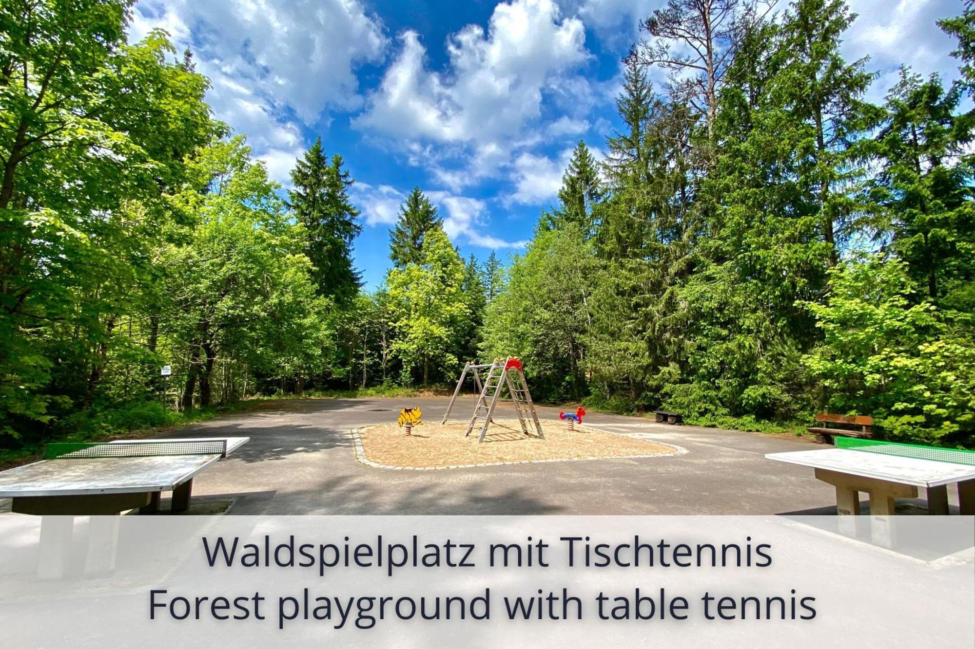 Auszeit Apartment Black Forest: Panoramic Retreat with Indoor Pool and Sauna Schonach im Schwarzwald Exterior photo